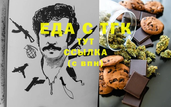 индика Волоколамск
