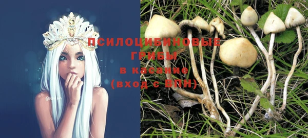 стафф Волосово