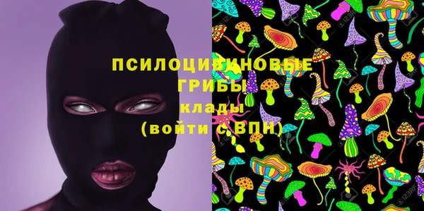 стафф Волосово