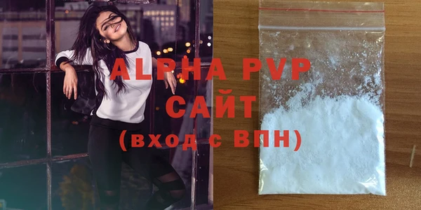 индика Волоколамск