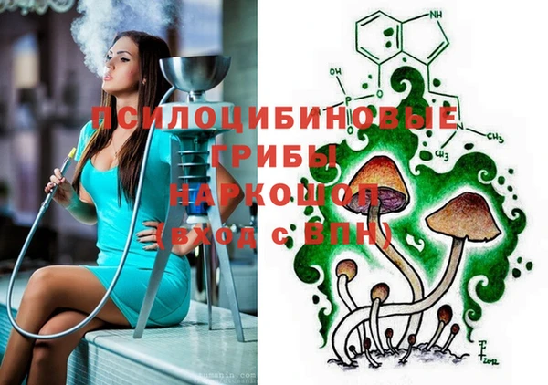 стафф Волосово