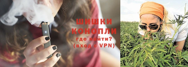 индика Волоколамск