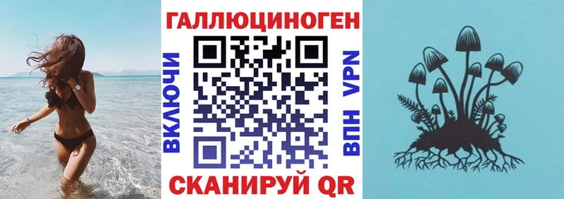 купить наркоту  Зея  Псилоцибиновые грибы мухоморы 